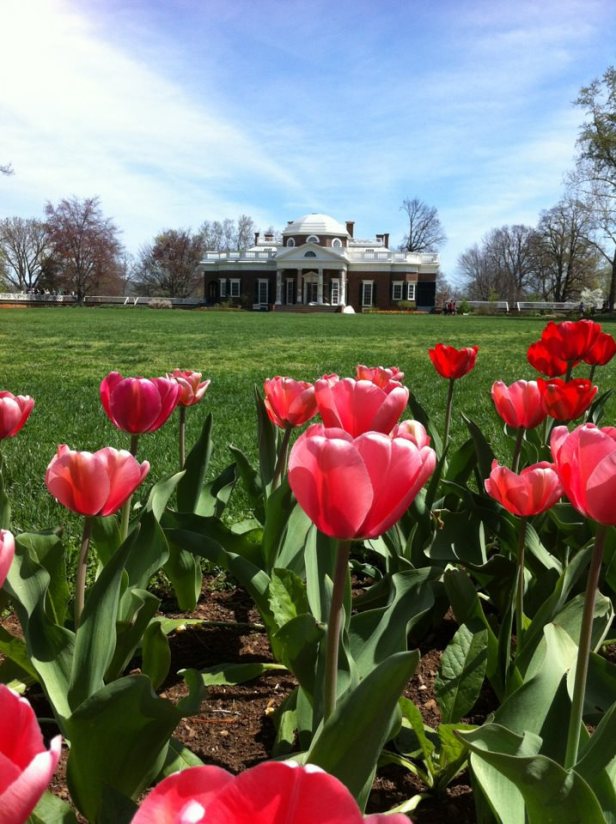 553991_10152746649585052_2140848410_n