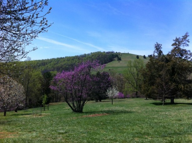 644467_10152746436050052_274070782_n