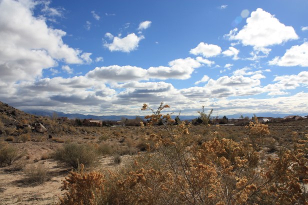 Petroglyph National Monument