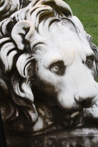 Montpelier Lion