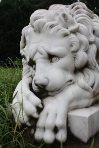 Montpelier sad Lion