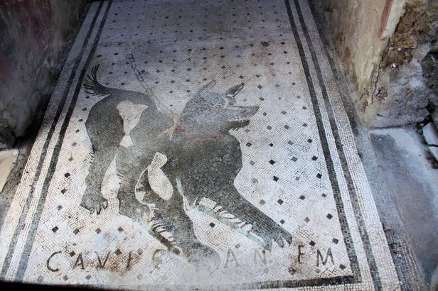Pompeii House of the Dog
