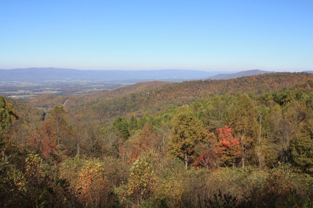 Shenandoah Fall Colors