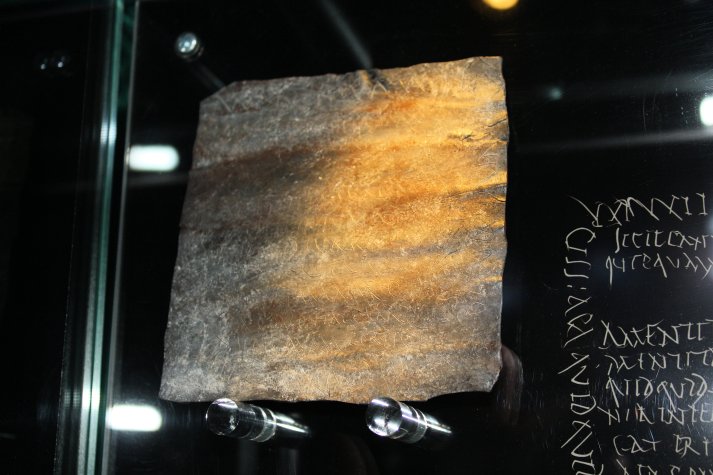 Mainz Mater Magna Rare Lead Curse Scroll