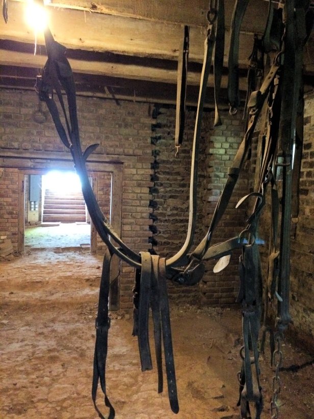 Salubria Basement (3)