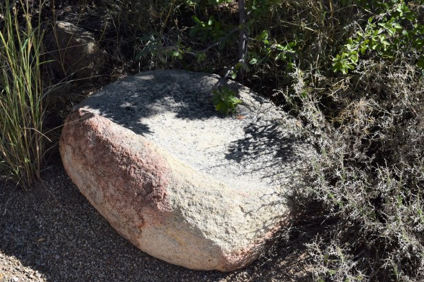 Old metate lying on the ground on the way into Fort Bowie